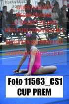 11563_CS1-CUP-PREM