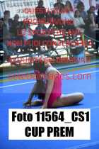 11564_CS1-CUP-PREM