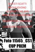 11565_CS1-CUP-PREM