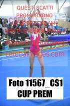 11567_CS1-CUP-PREM