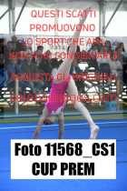 11568_CS1-CUP-PREM