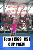 11569_CS1-CUP-PREM