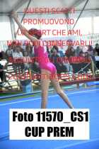 11570_CS1-CUP-PREM