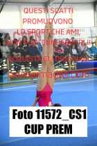 11572_CS1-CUP-PREM