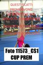 11573_CS1-CUP-PREM