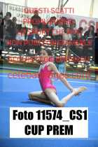 11574_CS1-CUP-PREM