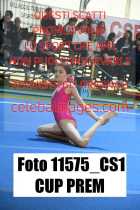 11575_CS1-CUP-PREM