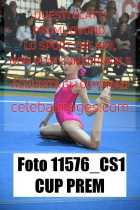11576_CS1-CUP-PREM