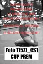 11577_CS1-CUP-PREM
