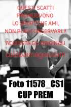 11578_CS1-CUP-PREM