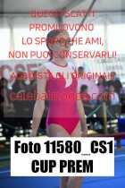 11580_CS1-CUP-PREM