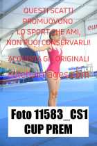 11583_CS1-CUP-PREM