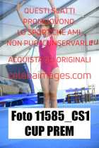 11585_CS1-CUP-PREM