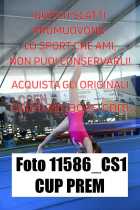 11586_CS1-CUP-PREM