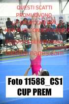 11588_CS1-CUP-PREM