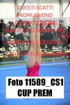 11589_CS1-CUP-PREM