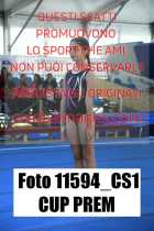 11594_CS1-CUP-PREM