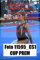 11595_CS1-CUP-PREM