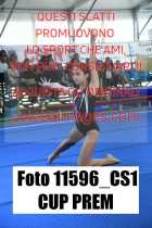 11596_CS1-CUP-PREM