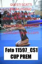 11597_CS1-CUP-PREM