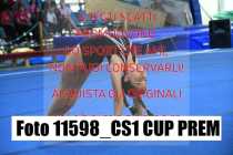 11598_CS1-CUP-PREM