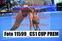 11599_CS1-CUP-PREM