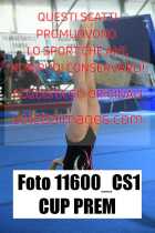 11600_CS1-CUP-PREM