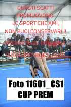 11601_CS1-CUP-PREM