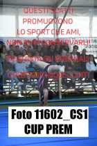 11602_CS1-CUP-PREM