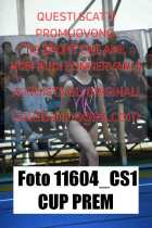 11604_CS1-CUP-PREM
