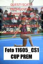 11605_CS1-CUP-PREM