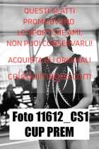 11612_CS1-CUP-PREM