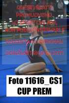 11616_CS1-CUP-PREM