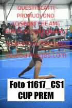 11617_CS1-CUP-PREM