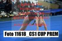 11618_CS1-CUP-PREM