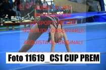 11619_CS1-CUP-PREM