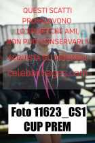 11623_CS1-CUP-PREM