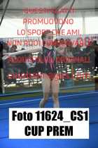 11624_CS1-CUP-PREM