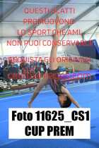 11625_CS1-CUP-PREM