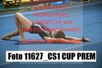 11627_CS1-CUP-PREM
