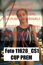 11628_CS1-CUP-PREM
