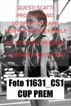 11631_CS1-CUP-PREM