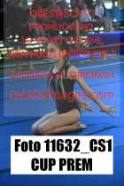 11632_CS1-CUP-PREM
