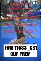 11633_CS1-CUP-PREM