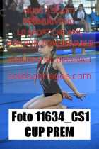 11634_CS1-CUP-PREM