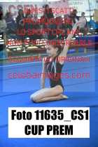 11635_CS1-CUP-PREM