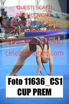 11636_CS1-CUP-PREM