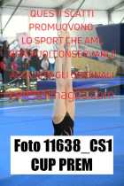 11638_CS1-CUP-PREM