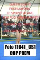 11641_CS1-CUP-PREM