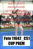11642_CS1-CUP-PREM